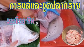 ทักษะการ แล่และขูด เนื้อปลากราย แบบมืออาชีพ |cutting fish foodmarket