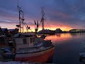 Skrei fiske i Lofoten første uke. Februar 2021, Svolvær, Austnesfjorden.