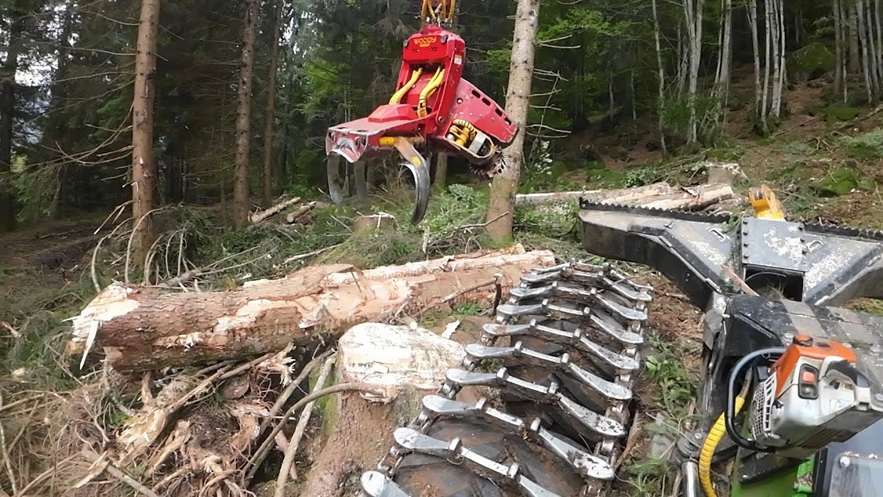 another Logging Day - Forest Peg - Highlander [ 1:# ]