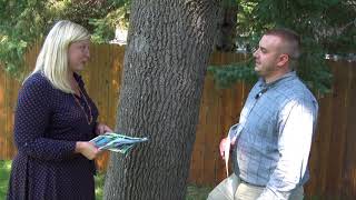 Apple Valley Emerald ash borer