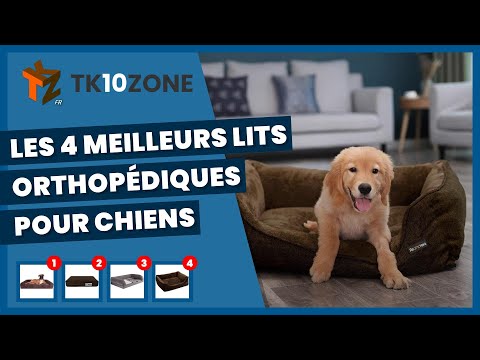 Vidéo: Lits orthopédiques pour chiens