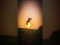 Frontflip Avoid This Error For Beginner| #shorts #frontflip #backflip #gymnast