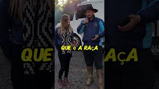 Quanto Vale o seu Cavalo? #shorts