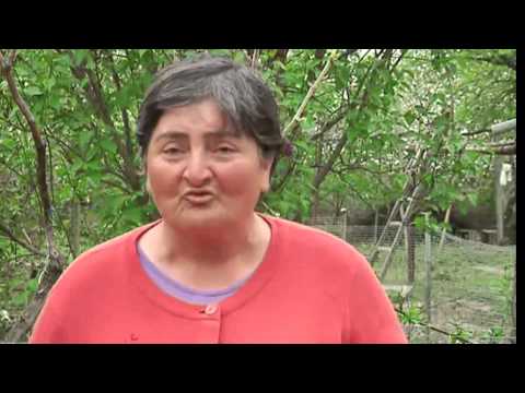 გორის მუნიციპალიტეტის სოფლებში წვიმისგან მიყენებულ ზარალს ითვლიან