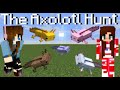 THE AXOLOTL HUNT *Minecraft 1.17 Cave Update*