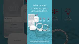 D Link SW A11KT TikTok 1080x1920 DisasterSeries KitchenSink 1