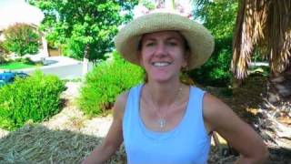 Converting your sprinkler system to drip irrigation