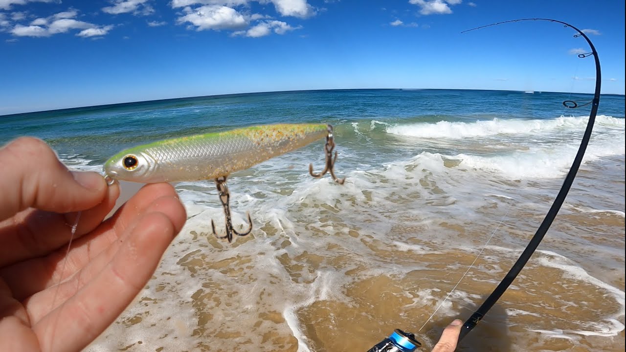 TOPWATER Fishing Off The Beach!! 