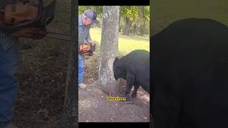 Allah Iyi Insanlar Ile Karşılaştırsın Inşallah