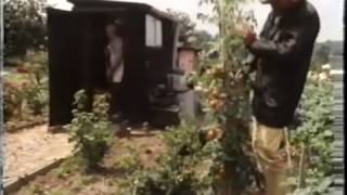 Three Up Two Down S3 ep1 Part 2