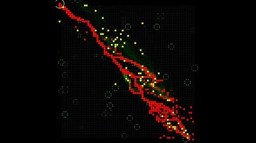 Slime Mold Simulation - Ants Foraging Patterns