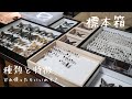 【昆虫標本】標本箱ってたくさんあるけど、何を使ったらいいの？【昆虫隊長が解説する標本箱の種類】