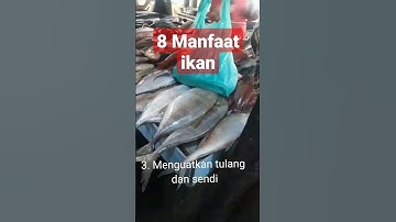 Thumbnail of 8 manfaat ikan bagi tubuh #shorts #shortvideo #ikan #laut #manfaat #tubuh
