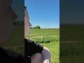 You've Never Seen Berlin Like This - Tempelhofer Feld🌿