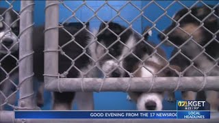 Kern County helps 'Clear the Shelters' at BACC
