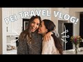 visiting one of our favourite places! (Charlottetown, PEI travel vlog)