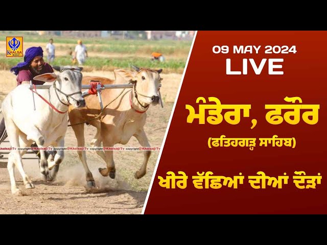 🔴[Live] Manderan - Farour | Fatehgarh Sahib | ਬੈਲ ਗੱਡੀਆਂ ਦੀਆਂ ਦੌੜਾਂ | Ox Races | 09 May 2024 class=