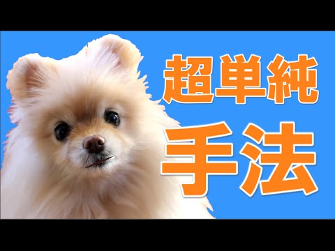 FX　超絶シンプル！ 聖杯探しに疲れた人のための １時間足ゆったりトレード手法。