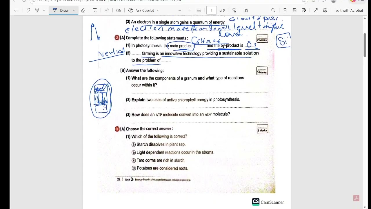 unit 3 video solution 2nd prep unit 3  حل الوحدة الثالثه كتاب الامتحانات المعاصر