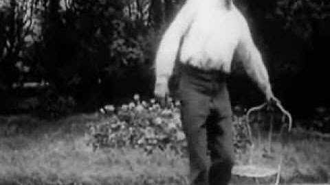 Surfin bird shellshock