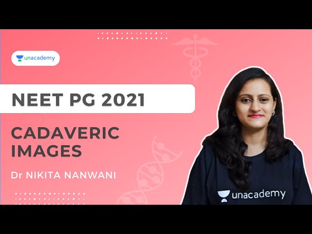 Cadaveric images for Last minute Revision | Dr Nikita Nanwani