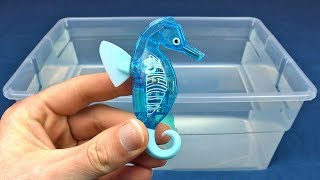 HEXBUG AquaBot Seahorse Robot Fish Unboxing & Review With Guests