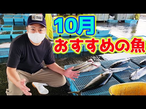 へんな魚おじさんの寝言【Weird Fish Dude & Beard Brother