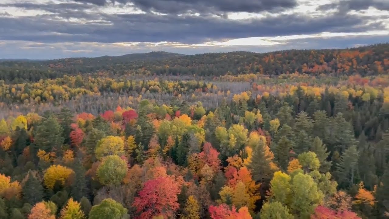 The beauty of fall @ Eagle's Nest lookout Calabogie, Ontario, Canada ...