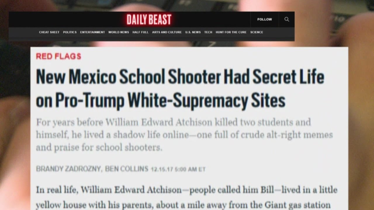 online news article