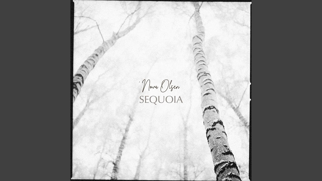 Watch Sequoia on YouTube Watch Sequoia on YouTube