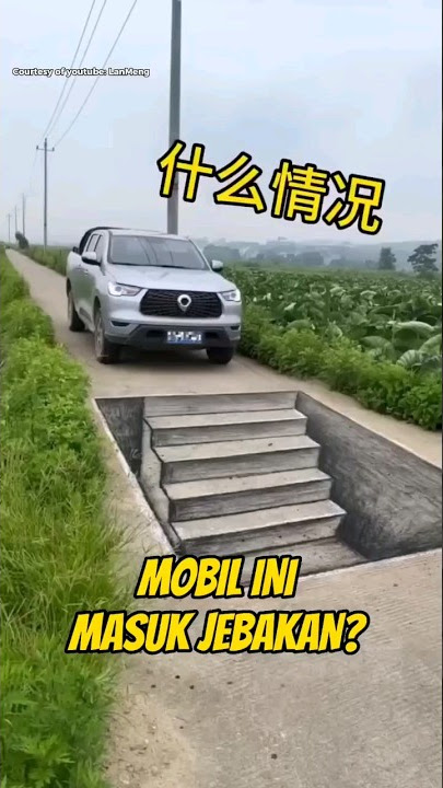 Menggambar 3D Di Jalan, Apa Yang Akan Terjadi ❓ #3d #illusion #pramanadian