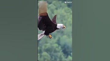 ربنا لا تزغ قلوبنا. القران الكريم