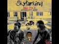 Skylarking The Song Red Fox Ft Screechy Dan