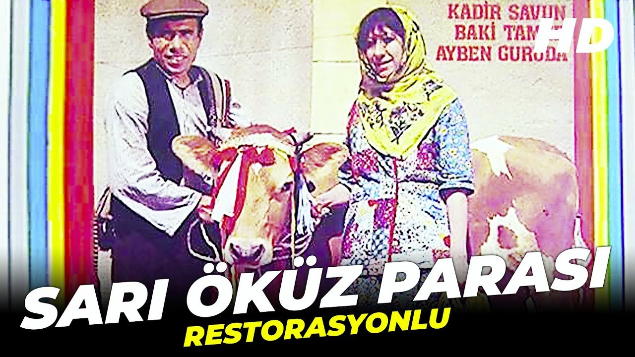 Sarı Öküz Parası | İlyas Salman Ayşen Gruda Eski Türk Filmi Tek Parça