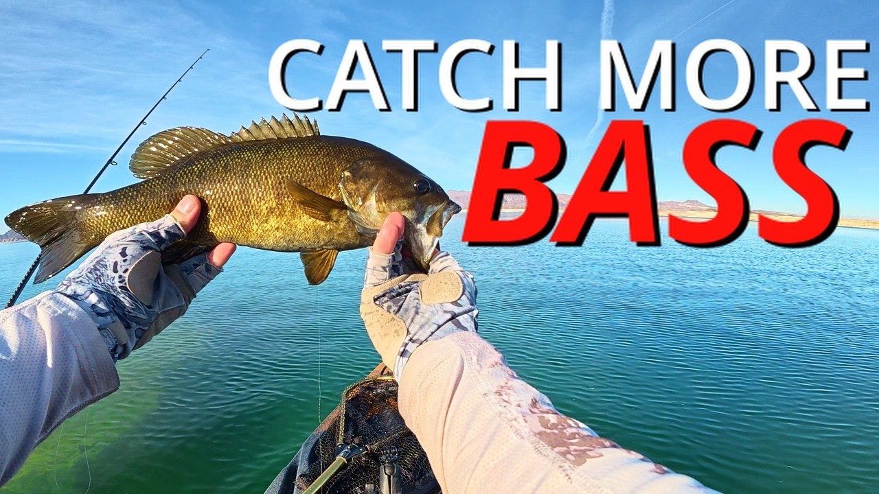 Drop Shot Fishing Lake Mead – Beginner Bass Fishing Tips That Catch Fish!