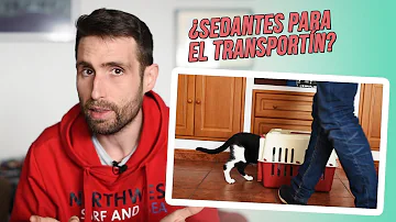 ¿Existe algún sedante oral para gatos?