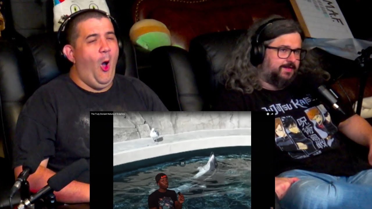 The Truly Deviant Nature of Dolphins - @mndiaye_97 | RENEGADES REACT