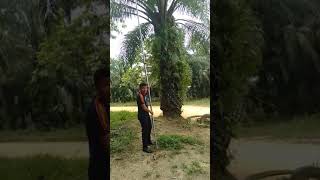 Ardhyn Ghulo Menunas