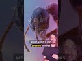 Clown World Unmasked! | Unexplained TikToks That Will Break Your Perception of Reality! |