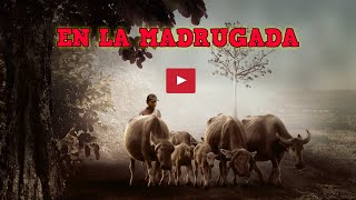 El Llano en Llamas audiolibro: En La Madrugada de Juan Rulfo Quinto Cuento