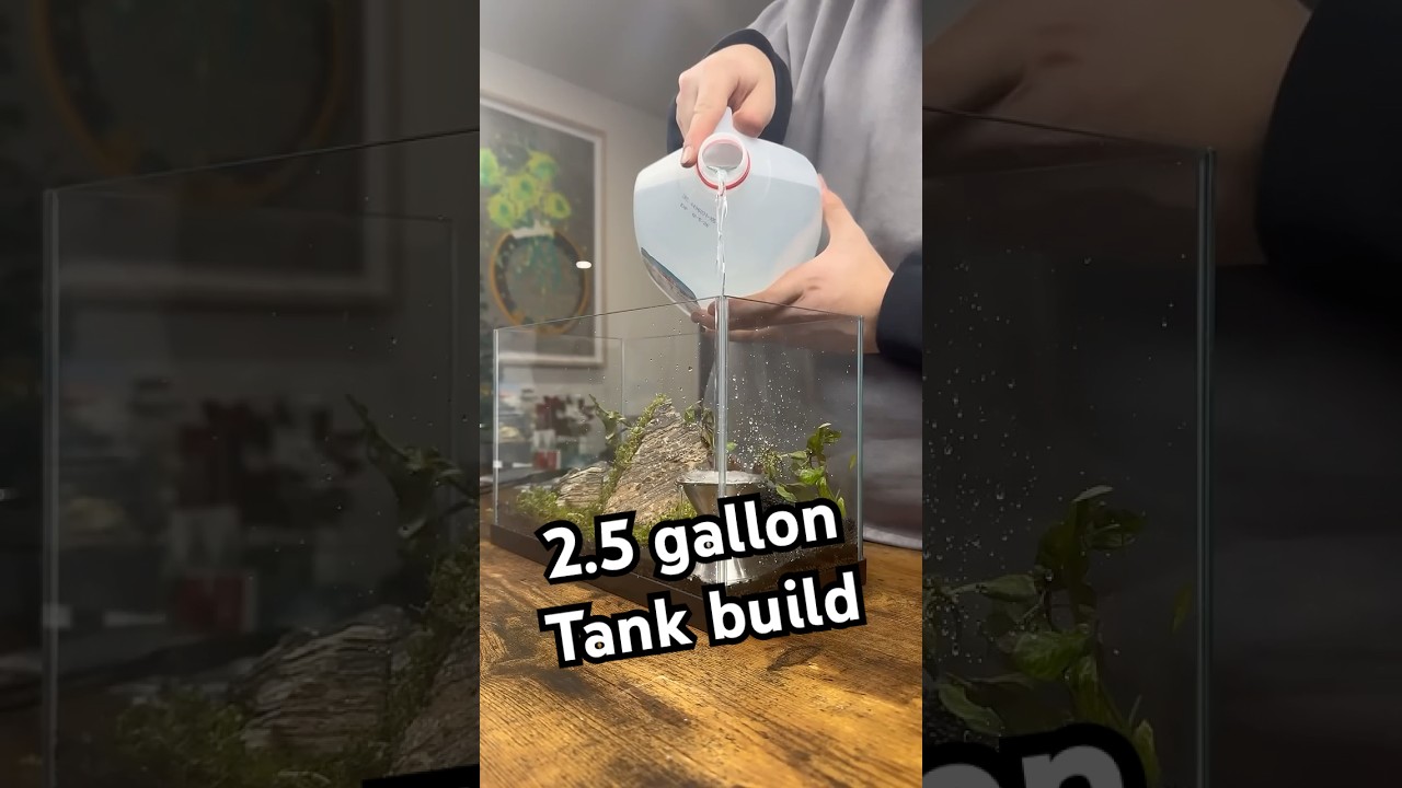 Building a mini tank short