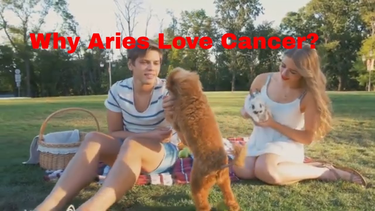 Aries & Cancer  Love Compatibility