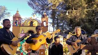 Bajo El Sol De Tlacolula | Trio Arpegio | T&amp;T Music