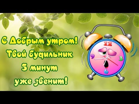 Пожелание доброго утра! С добрым утром! Твой будильник 5 минут уже звенит!