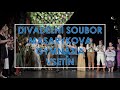 MGSZŠVOŠZV - Divadelní soubor