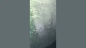Чебурашка