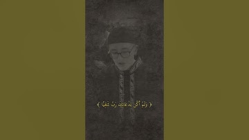 تلاوة خاشعة من سورة مريم | القارئ عامر درفيشوسكي