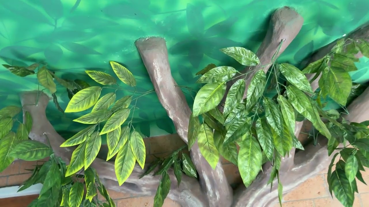 Forest museum Kulathupuzha.    Kulathupuzha vana museum