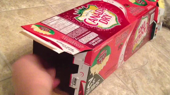 Video 2078251: ginger maine coon kitten, maine coon kitten attacks, maine coon kitten playing