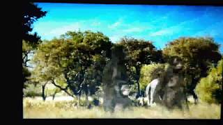 Walking With Beasts Next Of Kin Part 7Under Attack